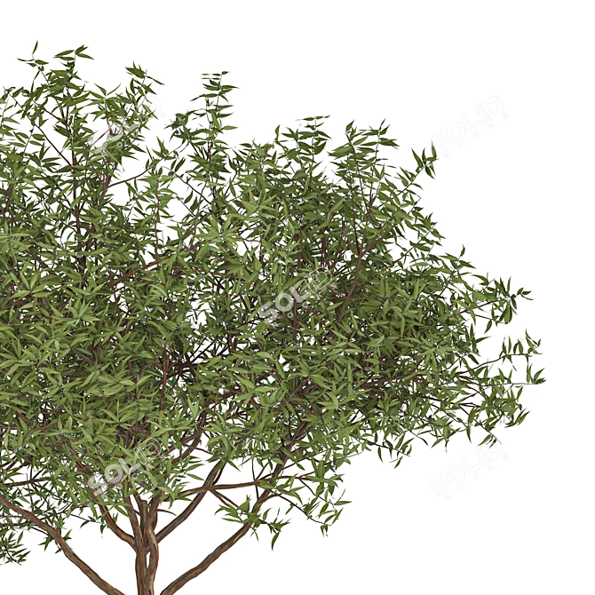 Deluxe Tree Set: 210cm & 270cm 3D model image 3