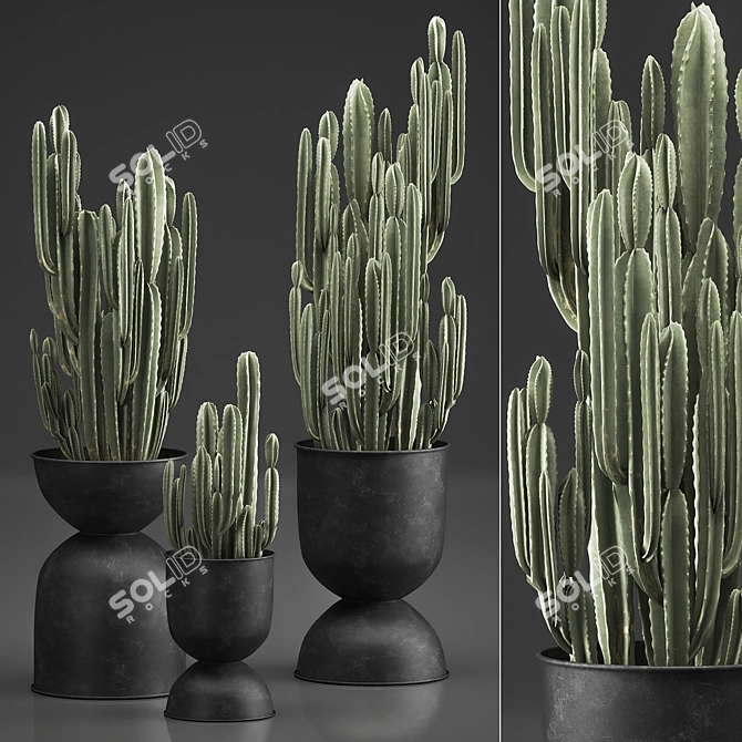 Tropical Plant Collection: Exotic Indoor & Outdoor Decor 3D model image 1