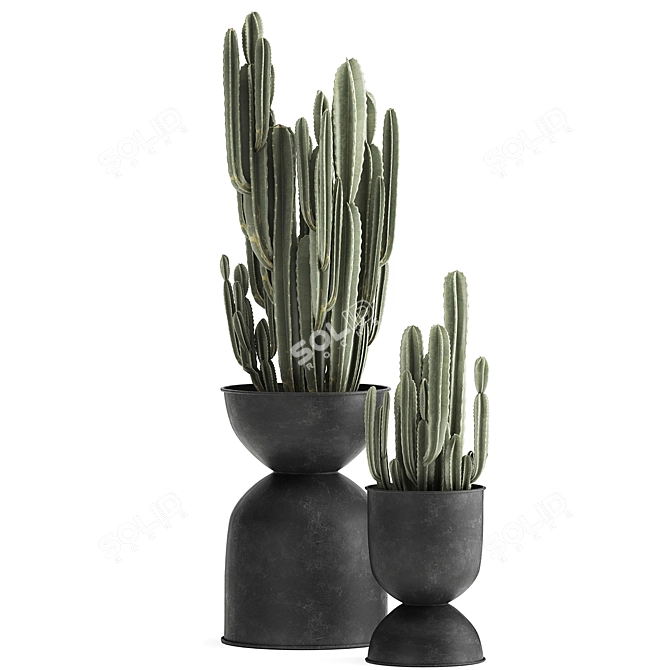 Tropical Plant Collection: Exotic Indoor & Outdoor Decor 3D model image 4