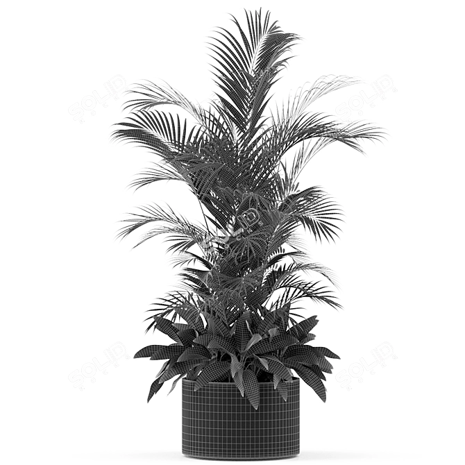 Tropical Paradise Plant Collection 3D model image 2