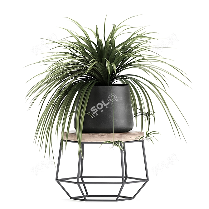 Tropical Plant Collection: Exotic Foliage in Stylish Pots 3D model image 3