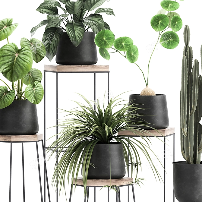 Tropical Plant Collection: Exotic Foliage in Stylish Pots 3D model image 4