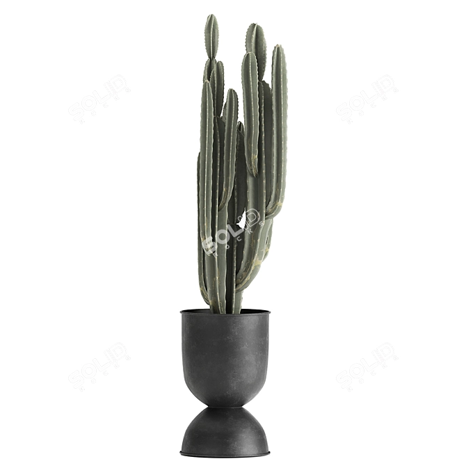 Tropical Plant Collection: Exotic Foliage in Stylish Pots 3D model image 6