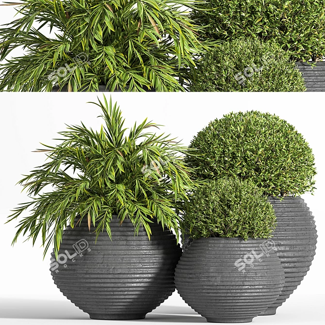 Premium Outdoor Plants Tree 07 3D model image 1