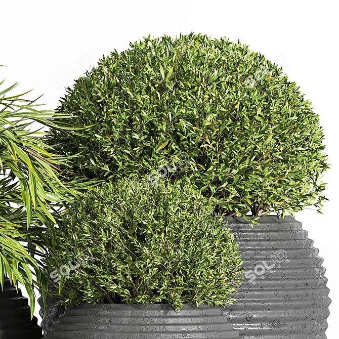 Premium Outdoor Plants Tree 07 3D model image 2