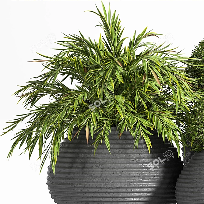 Premium Outdoor Plants Tree 07 3D model image 3