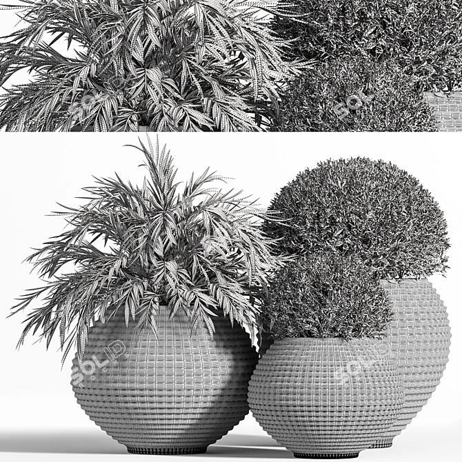 Premium Outdoor Plants Tree 07 3D model image 4