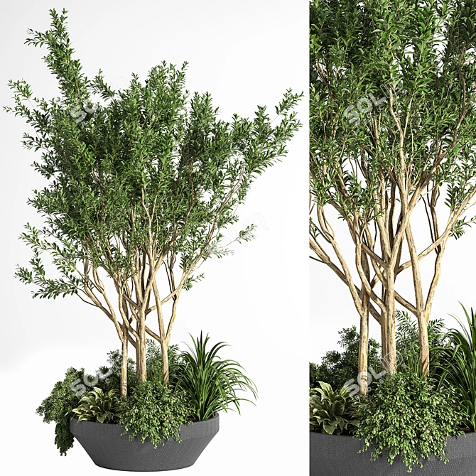 Outdoor Oasis Tree 08 3D model image 1