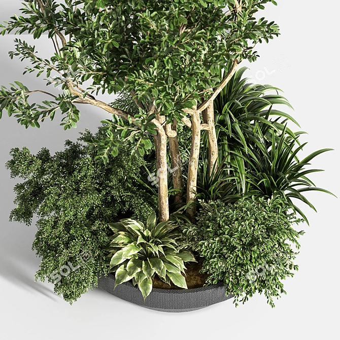 Outdoor Oasis Tree 08 3D model image 3