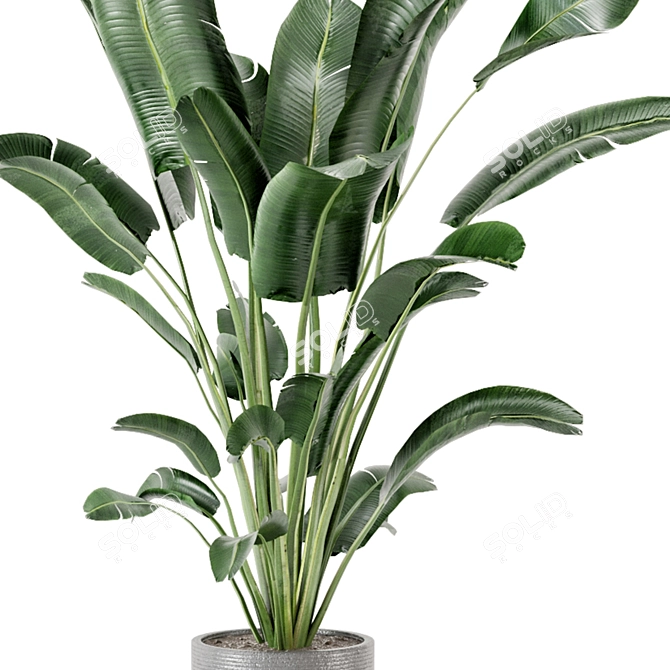 Fresh Greens: Indoor Plants Collection 3D model image 4