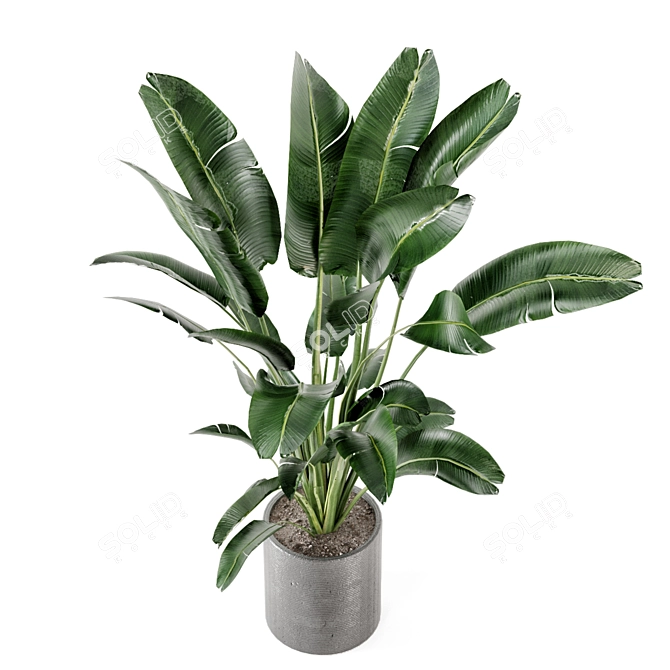 Fresh Greens: Indoor Plants Collection 3D model image 6