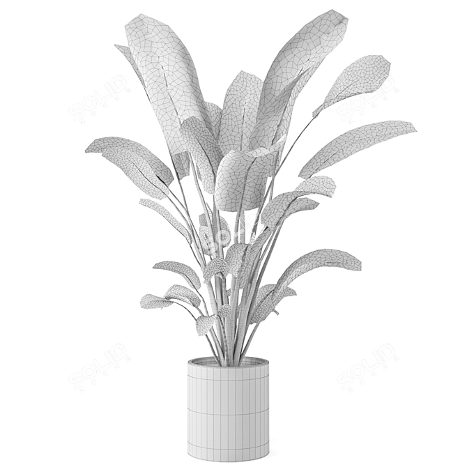 Fresh Greens: Indoor Plants Collection 3D model image 7