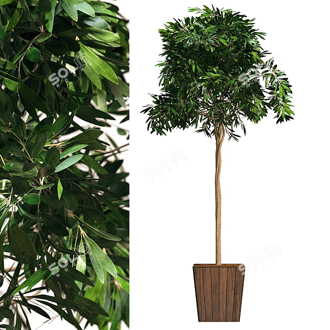 Modern Botanical Bushes Interior Décor 3D model image 1