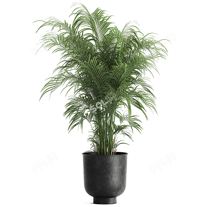 Tropical Plant Collection: Exotic & Decorative in Black Pots 3D model image 1