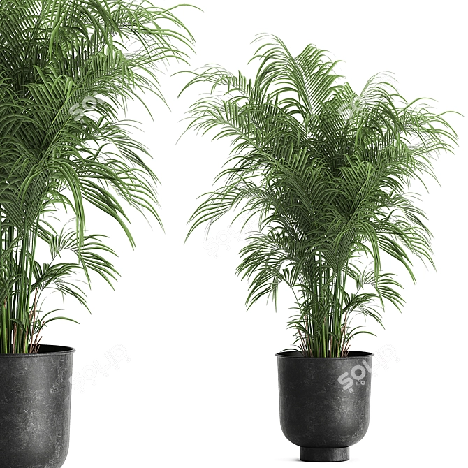 Tropical Plant Collection: Exotic & Decorative in Black Pots 3D model image 5