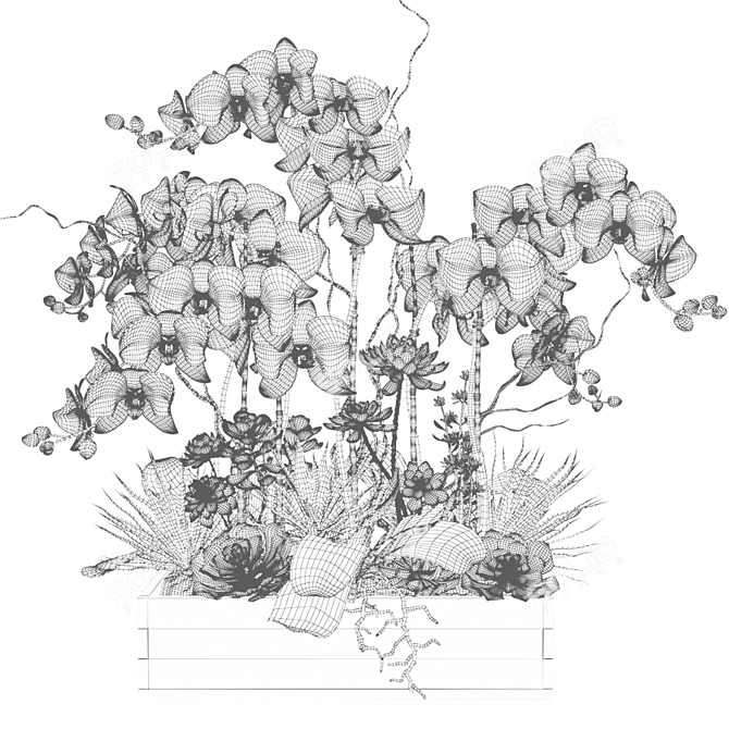 Elegant White Orchid & Succulent Arrangement 3D model image 3