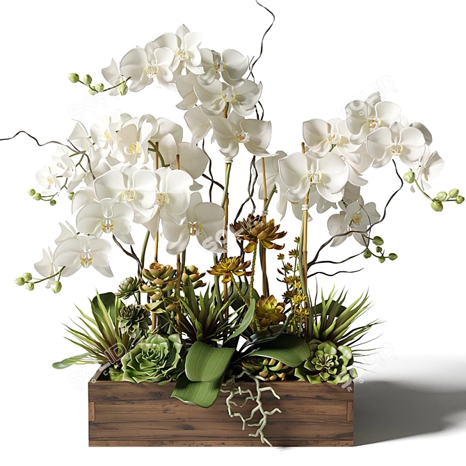 Elegant White Orchid & Succulent Arrangement 3D model image 4