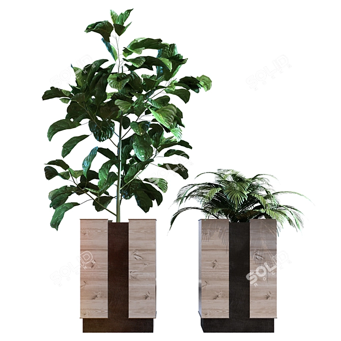 Green Oasis: Boxed Set of 12 Plants 3D model image 2