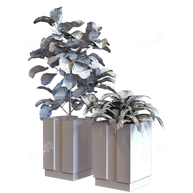 Green Oasis: Boxed Set of 12 Plants 3D model image 5