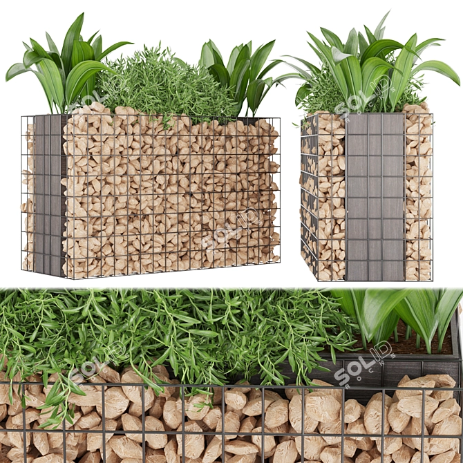 Premium Plant Collection - Vol. 135 3D model image 1