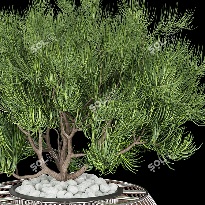 Premium Plant Collection: Volume 136 3D model image 3