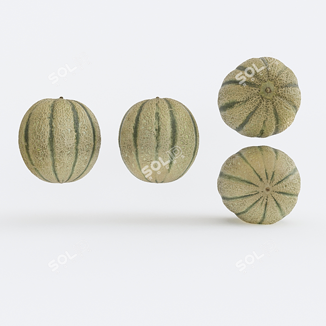 Melon Photogrammetry: High-Quality 3D Model & PBR Textures 3D model image 1