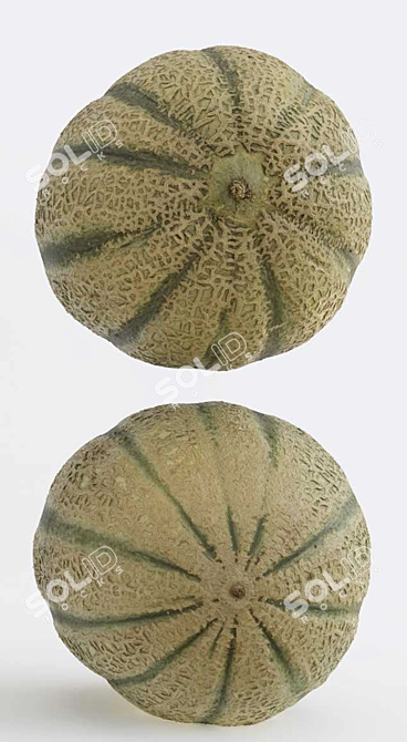 Melon Photogrammetry: High-Quality 3D Model & PBR Textures 3D model image 5