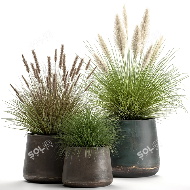 Exotic Plant Collection: Decorative Reeds & Grasses 3D model image 1