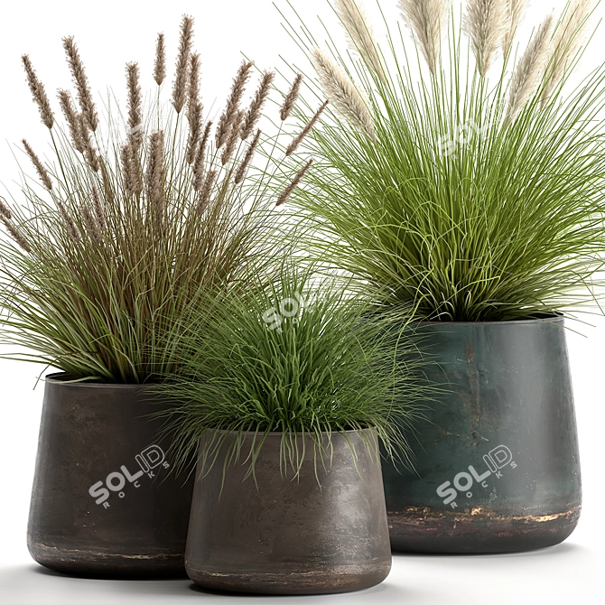 Exotic Plant Collection: Decorative Reeds & Grasses 3D model image 2