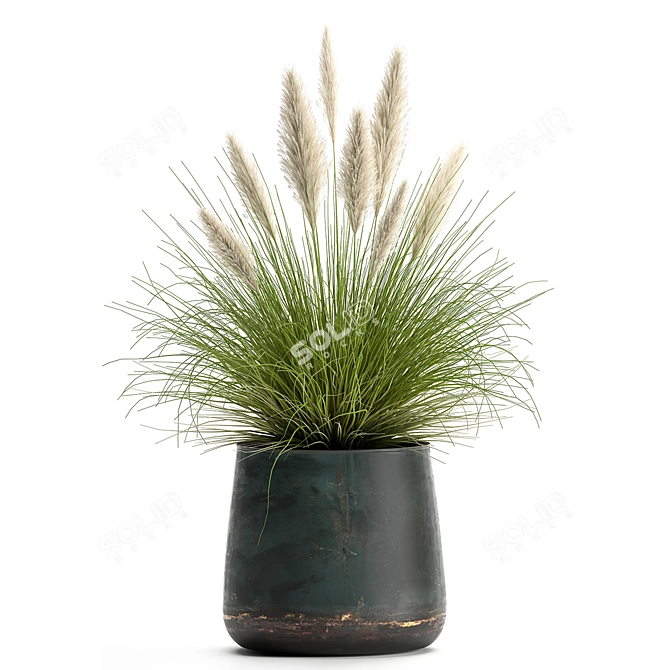 Exotic Plant Collection: Decorative Reeds & Grasses 3D model image 3