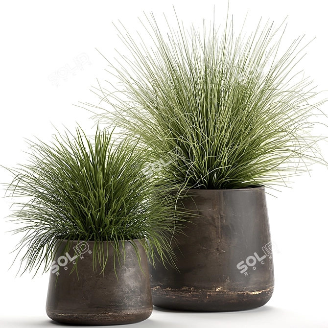 Exotic Plant Collection: Indoor & Outdoor Beauties 3D model image 1