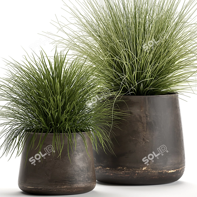 Exotic Plant Collection: Indoor & Outdoor Beauties 3D model image 2