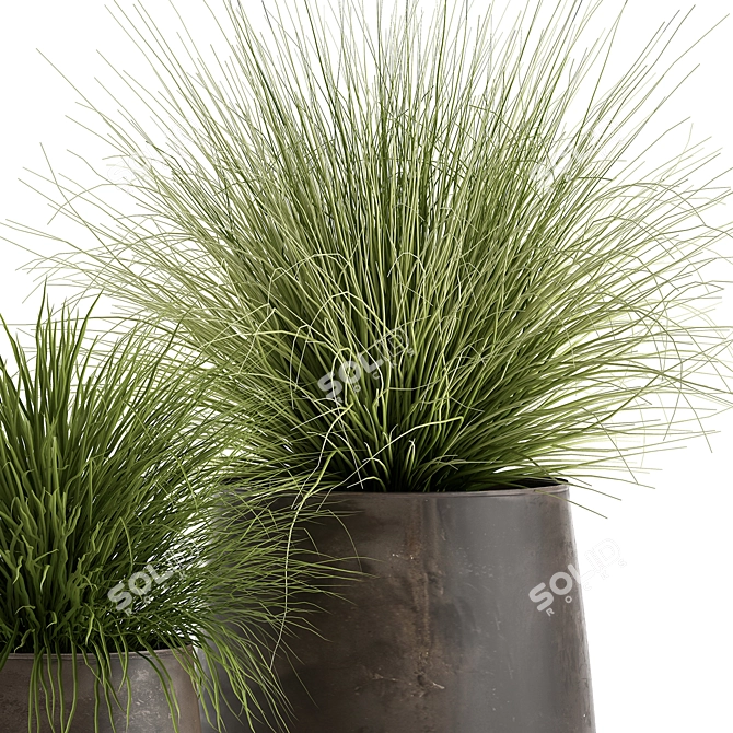 Exotic Plant Collection: Indoor & Outdoor Beauties 3D model image 3