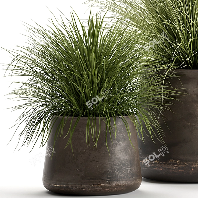 Exotic Plant Collection: Indoor & Outdoor Beauties 3D model image 4