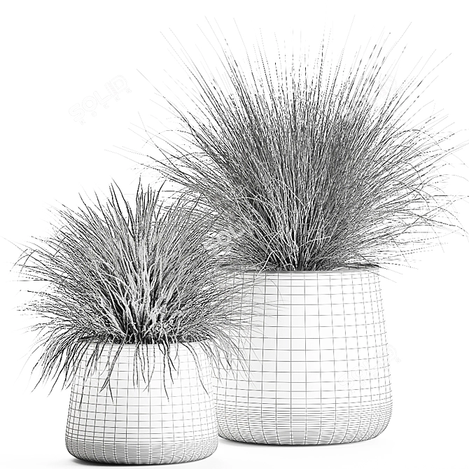 Exotic Plant Collection: Indoor & Outdoor Beauties 3D model image 6