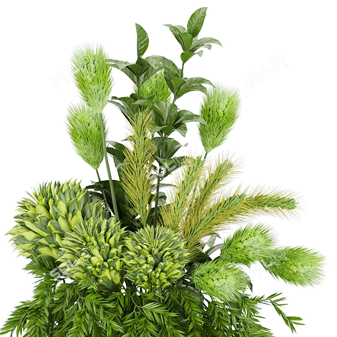 Premium Plant Collection Vol. 139 3D model image 2