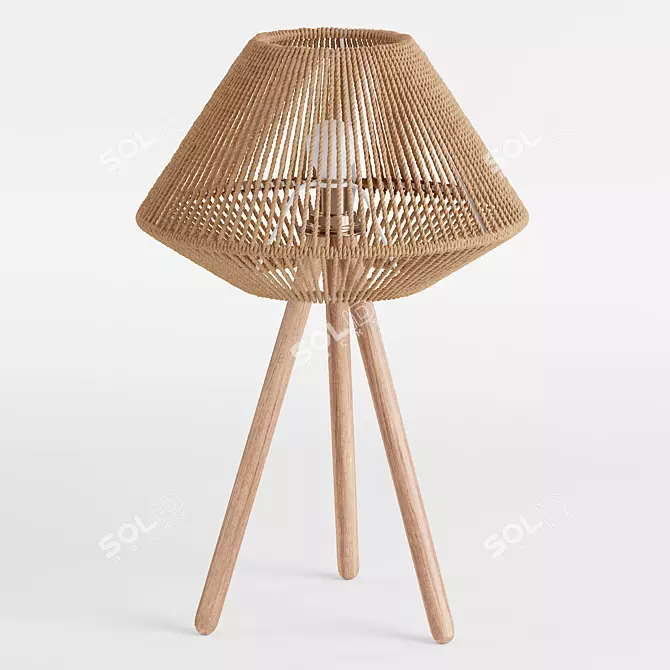 Boho Chic Tripod Table Lamp 3D model image 1