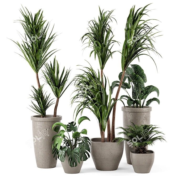 Rustic Concrete Pot with Indoor Plants - Set 97 3D model image 1