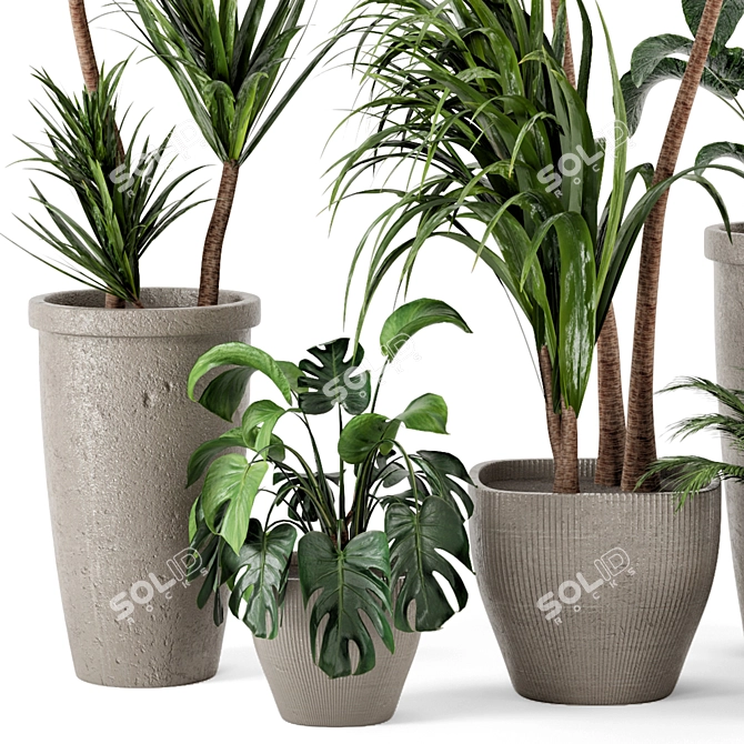 Rustic Concrete Pot with Indoor Plants - Set 97 3D model image 4