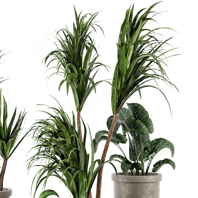 Rustic Concrete Pot with Indoor Plants - Set 97 3D model image 5