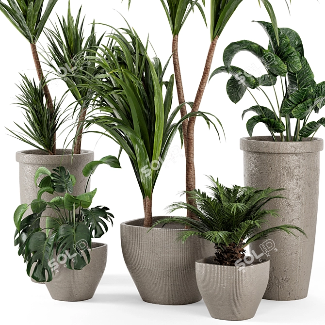 Rustic Concrete Pot with Indoor Plants - Set 97 3D model image 6