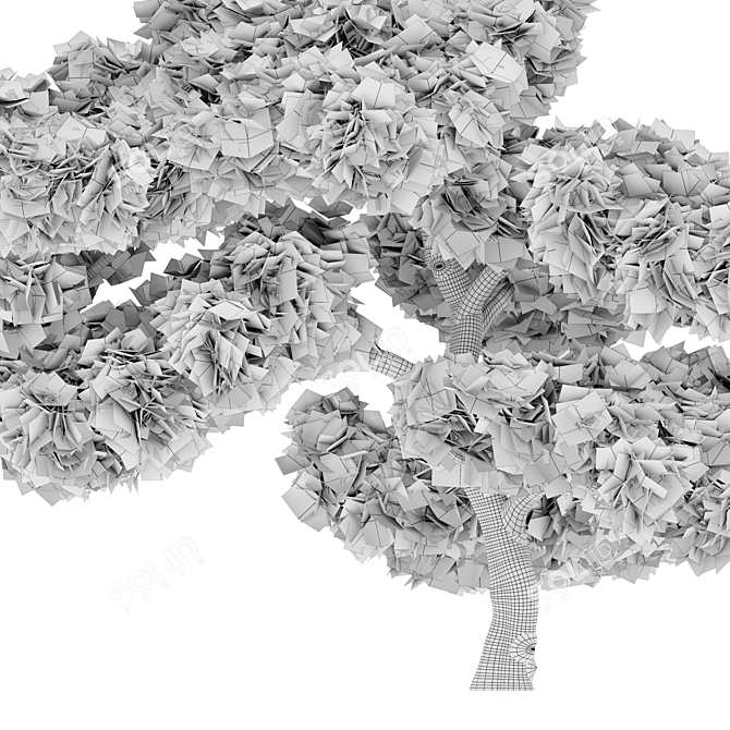 Exquisite Pinus Parviflora Bonsai 3D model image 4