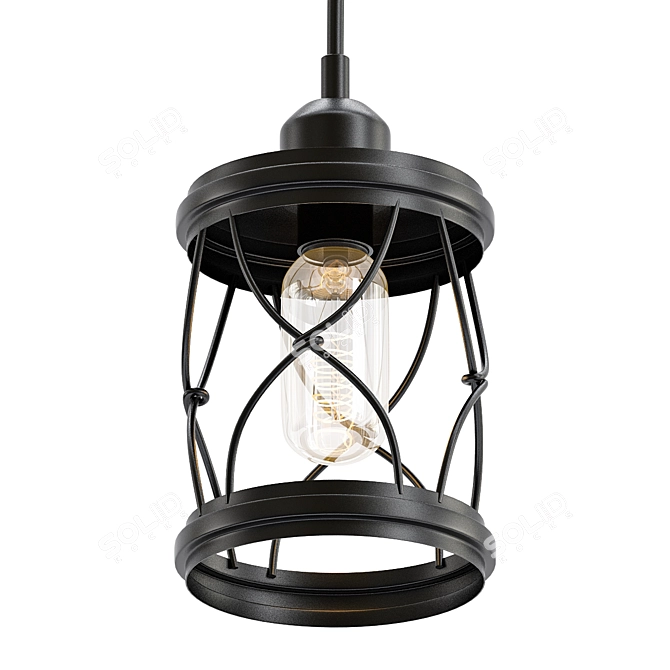 Delicate Cage Pendant 3D model image 1