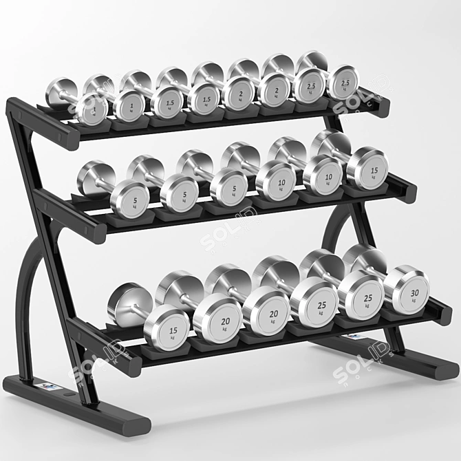 Durable Metal Gym Dumbbell Set 3D model image 1