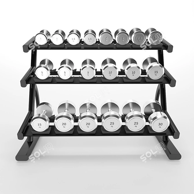 Durable Metal Gym Dumbbell Set 3D model image 2