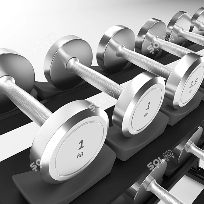 Durable Metal Gym Dumbbell Set 3D model image 3