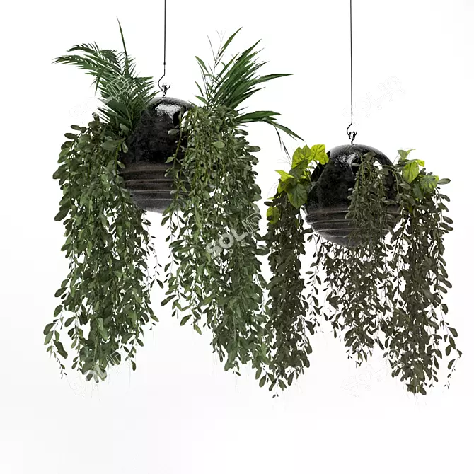 Spherical Hanging Plant Décor 3D model image 1