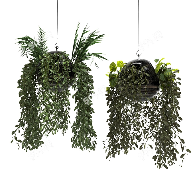 Spherical Hanging Plant Décor 3D model image 2