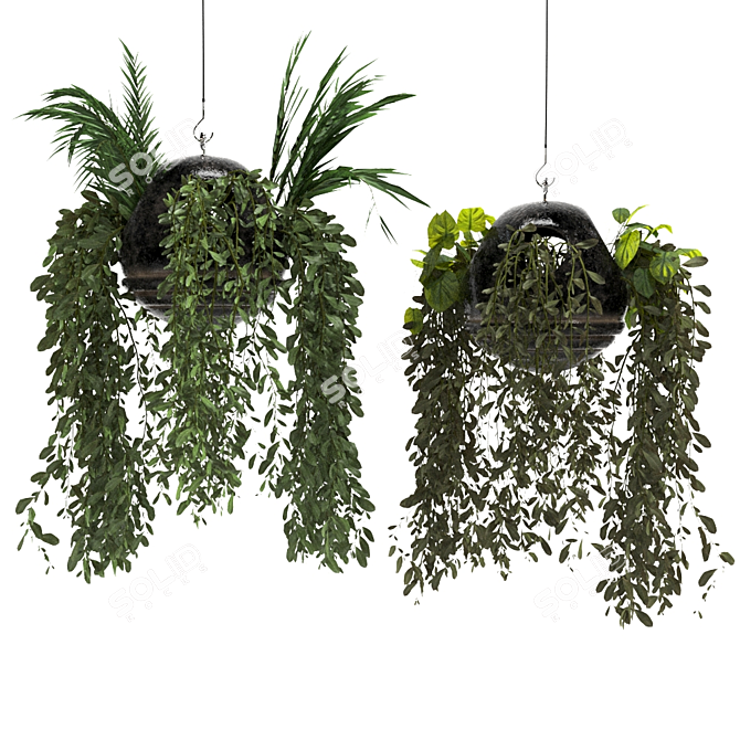 Spherical Hanging Plant Décor 3D model image 3