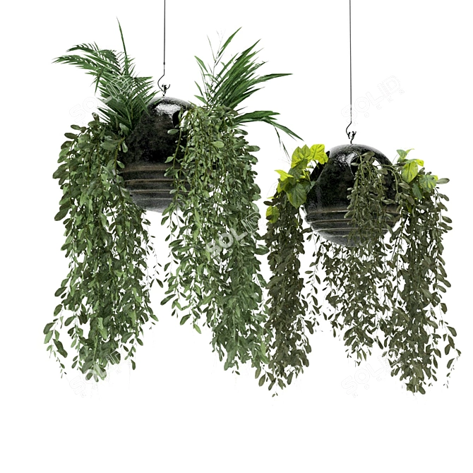 Spherical Hanging Plant Décor 3D model image 5